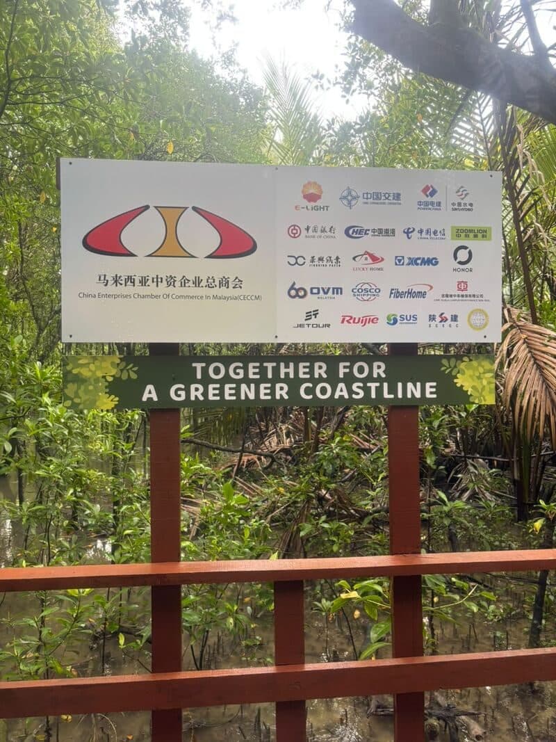 Together for a Greener Coastline — photo 6 of 7