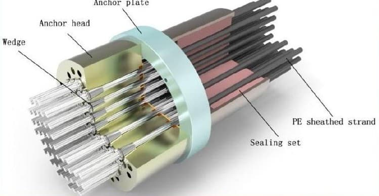 Anchor Head Assembly (Exploded View) — OVM Cable Systems technical drawing